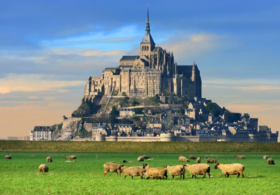 From Paris: Small-Group Mont St Michel Tour & Cider Tasting - Who should book this day trip?
