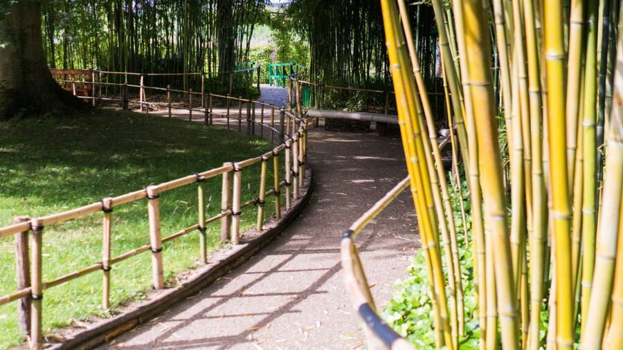 From Paris: Versailles and Giverny Full-Day Trip - The drive to Versailles and lunch