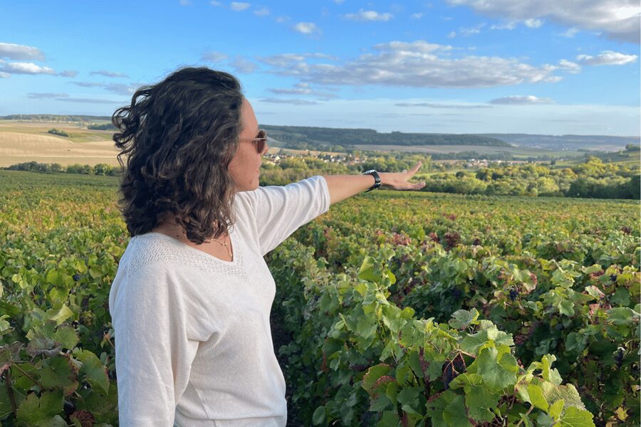 From Paris: Wine Day trip to SANCERRE w 10 Tastings & Lunch - Key points to know before booking