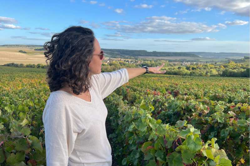 From Paris: Wine Day trip to SANCERRE w 10 Tastings & Lunch - The first winery and Sancerre’s three soils