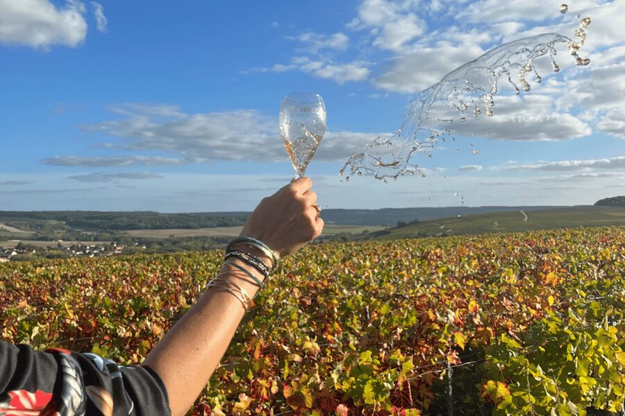 From Paris: Wine Day trip to SANCERRE w 10 Tastings & Lunch - Vineyard views and the outdoor tasting