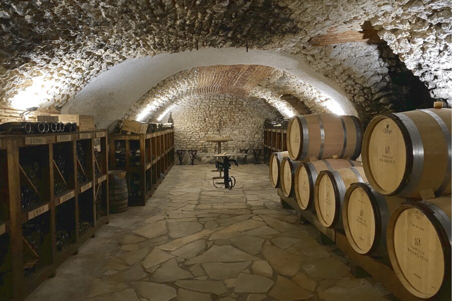 From Paris: Wine Day trip to SANCERRE w 10 Tastings & Lunch - A French lunch with wine and Crottin de Chavignol