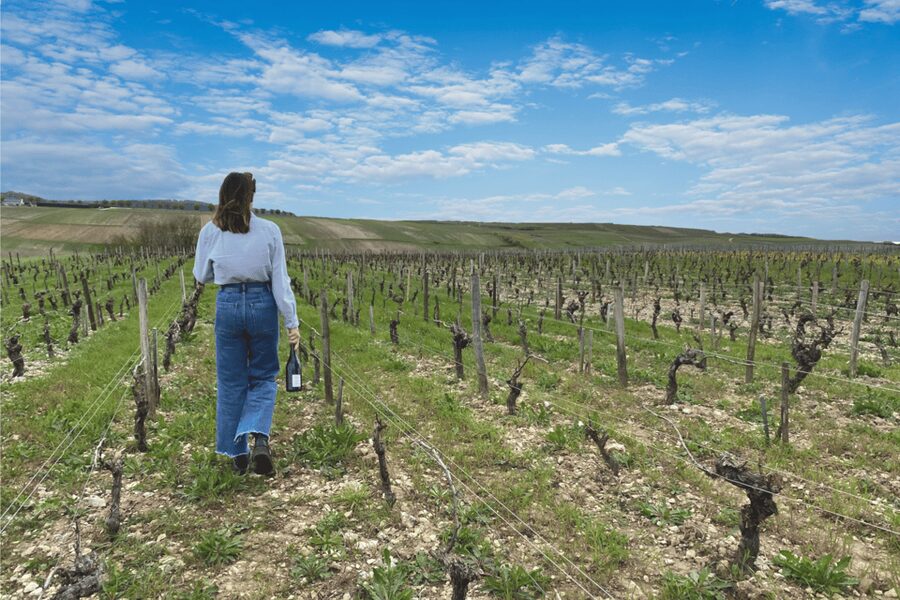 From Paris: Wine Day trip to SANCERRE w 10 Tastings & Lunch - The guide, group size, and overall pace