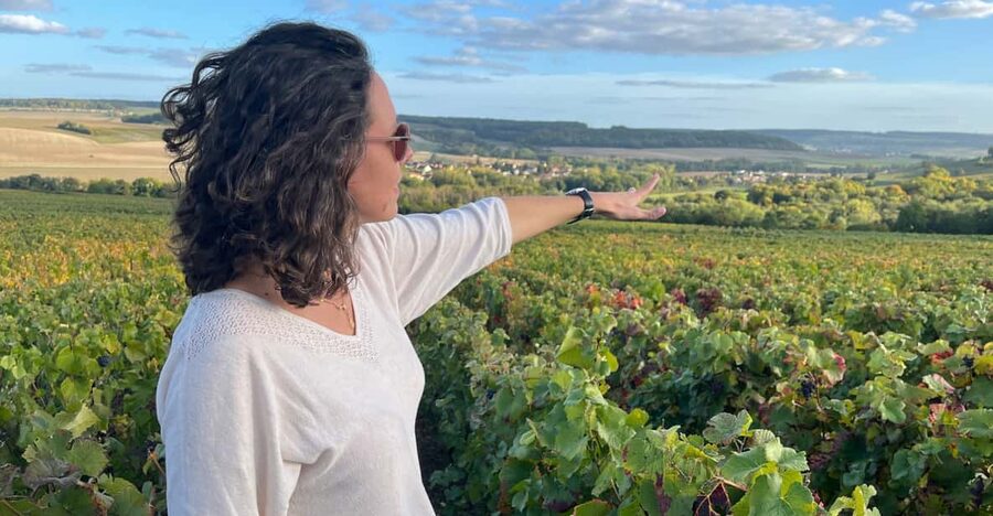 From Paris: Wine Day trip to SANCERRE w 10 Tastings & Lunch - Morning pickup and the long ride into wine country