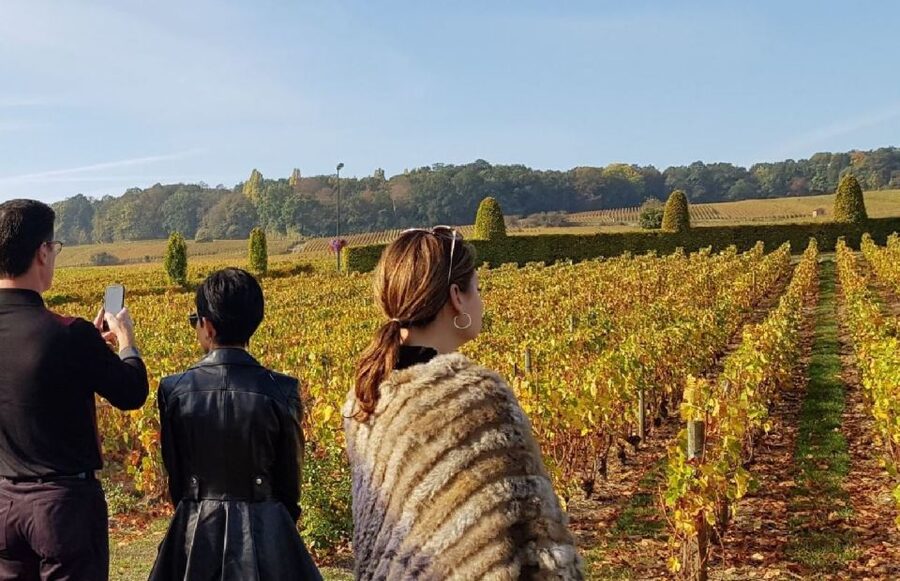 From Reims: Champagne Day Trip to 3 Family Domains & Lunch - The guide can shape the whole day