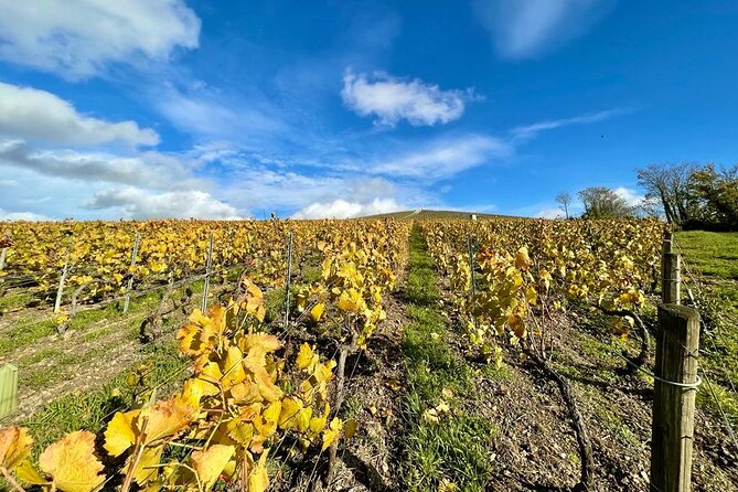 From Reims: Champagne Small-Group tour with tastings & Lunch - Timing, transport, and meeting details