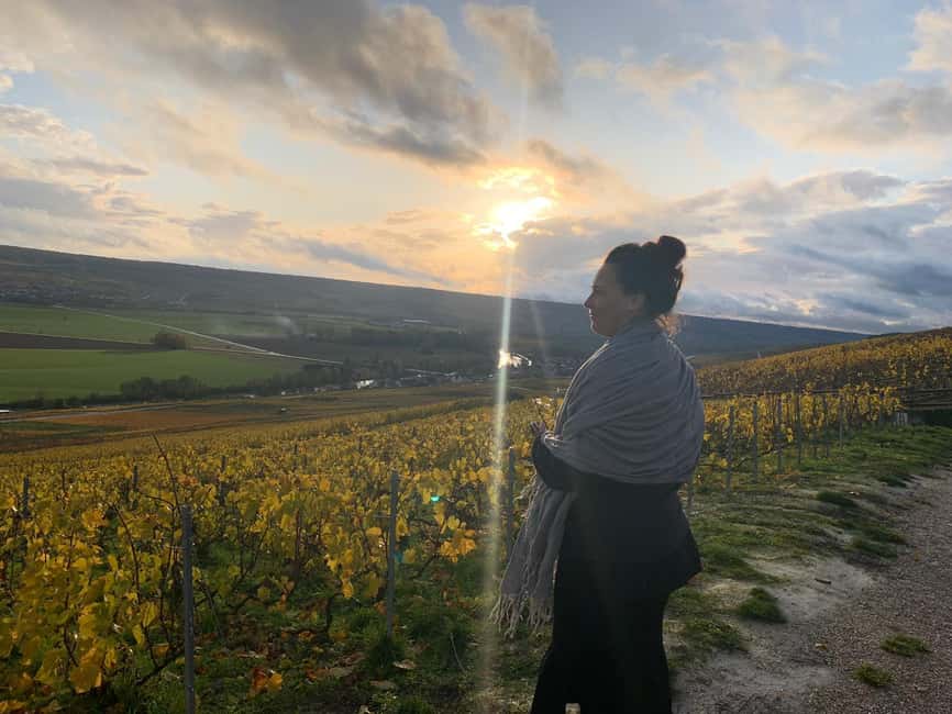 From Reims: Morning Champagne Tour and Tastings - Why small producers make this tour worthwhile