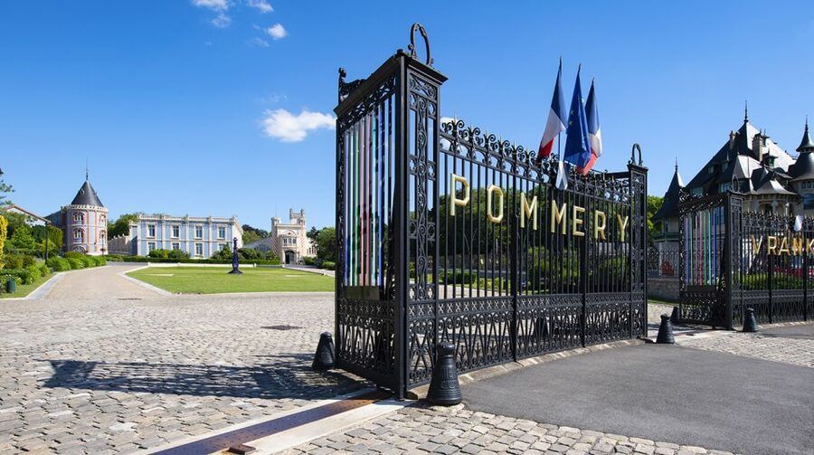 From Reims: Morning Champagne Tour and Tastings - The second producer: a shorter visit with more personal contact