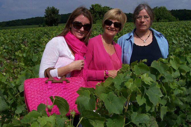Full Day All-inclusive Tour in Champagne from Paris in a Minivan - Timing, pickup, and the return to Paris