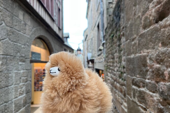 Full-day Private Tour in Mont Saint Michel with Calvados Tasting - The abbey is the central reward
