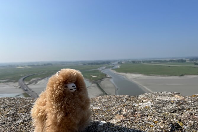 Full-day Private Tour in Mont Saint Michel with Calvados Tasting - Transport is the luxury, not the destination pace