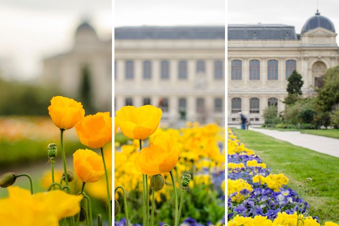Further training workshop - Tuileries Garden and the Value of a Less Obvious Frame