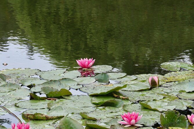 Giverny Half-Day Small-Group Tour from Paris – Max 7 Guests - Small-group comfort, pickup, and guiding