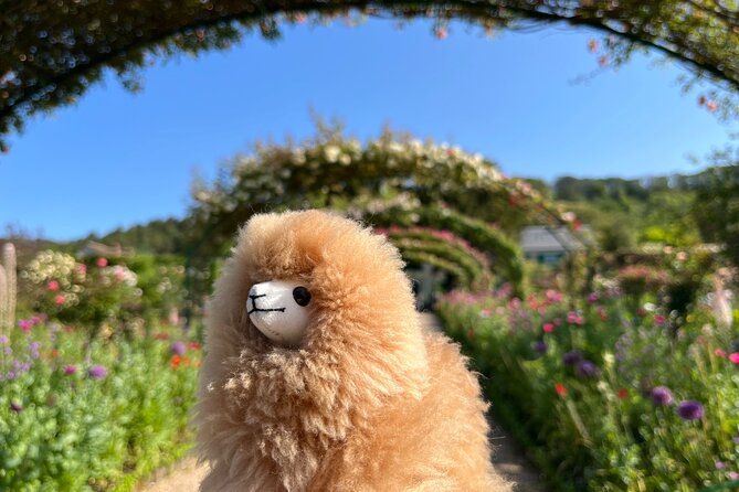 Giverny & Versailles Private Guided Tour with Ticket Entry - Monet’s house and gardens in Giverny