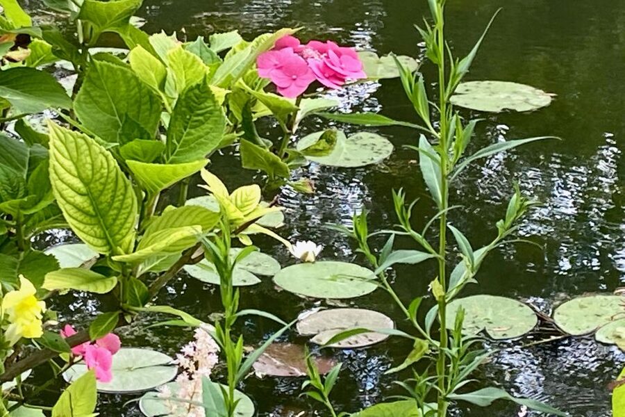 Giverny Versailles Trianon Small Group by Minivan from Paris - The drive to Versailles and the palace visit