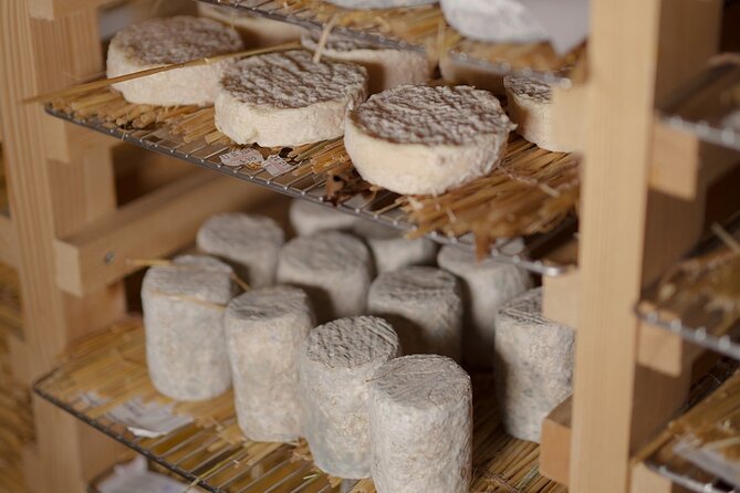 Guided visit of the Cheese Museum with Tasting Included - Tasting four cheeses from France
