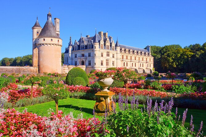 Loire Valley Castles Day Trip from Paris with Complementary Wine - The Loire wine tasting in the cellar