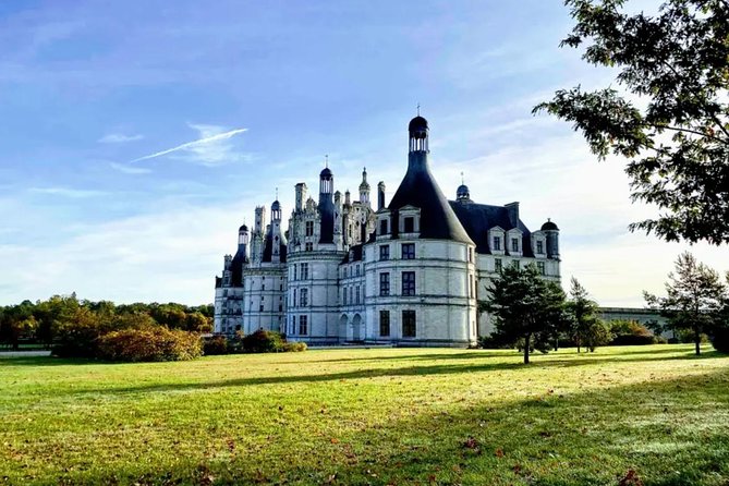 Loire Valley Wines and Castle Small Group Day Trip from Paris - Family cellars and wines beyond the supermarket shelf