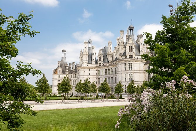 Loire Valley Wines and Castle Small Group Day Trip from Paris - Timing, comfort, and practical limits