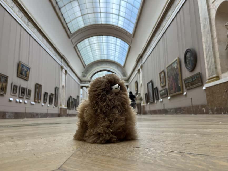 Louvre Museum Entry Ticket and Private Guided Tour - Why a private Louvre visit can make sense