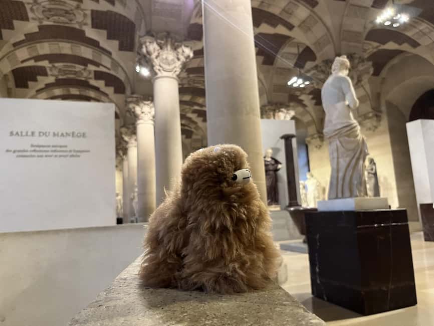 Louvre Museum Entry Ticket and Private Guided Tour - Guides who work well with families