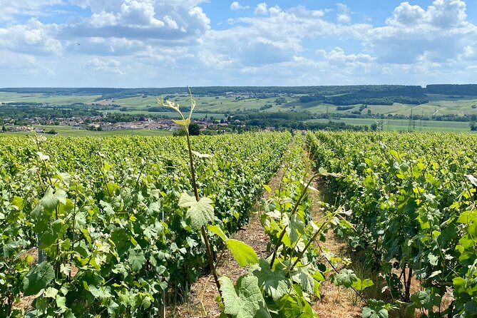 Moet et Chandon Veuve Clicquot Private Champagne trip from Paris - What the price includes, and where value depends on your group