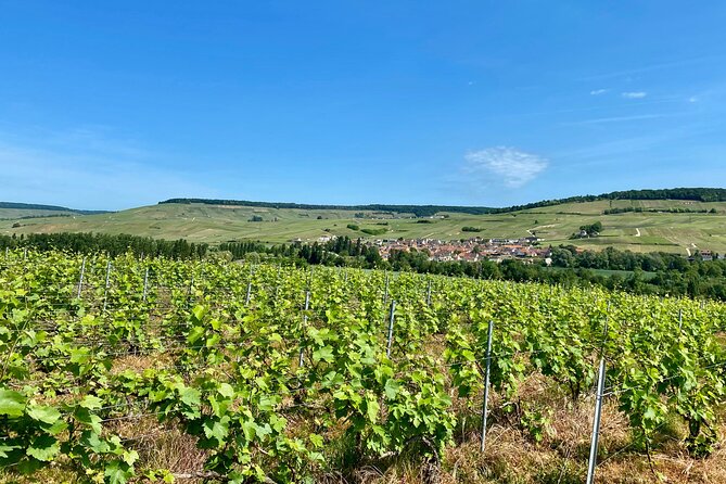 Moet et Chandon Veuve Clicquot Private Champagne trip from Paris - Who should book this private Champagne trip