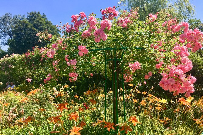 Monet's Gardens & House-Private Giverny Tour From Paris - Timing, comfort, and practical concerns