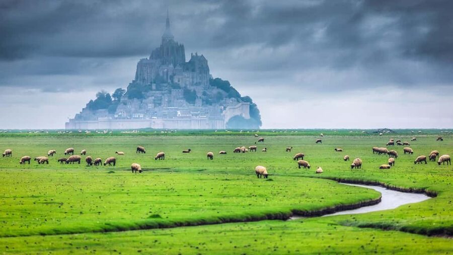 Mont Saint-Michel Small-Group Day Trip from Paris with Abbey Ticket - Meeting in central Paris at 7:15 AM