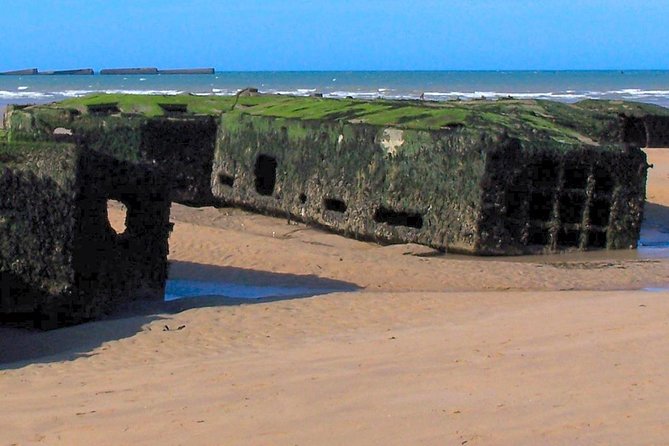 Normandy D-Day Landing Beaches Guided Tour from Paris by minivan - Bayeux, museums, and the route you may actually get