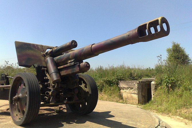 Normandy D-Day Landing Beaches Guided Tour from Paris by minivan - The guide can make or break the experience