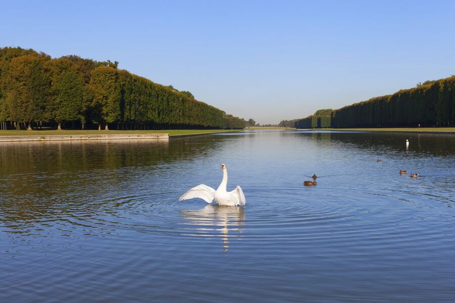 Palace of Versailles Guided Afternoon Tour from Paris - How the guide can shape the day