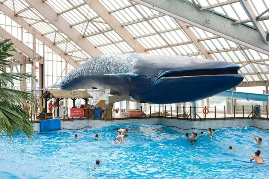 Paris: Aquaboulevard Water Park Entrance Ticket - Cleanliness and lifeguard coverage