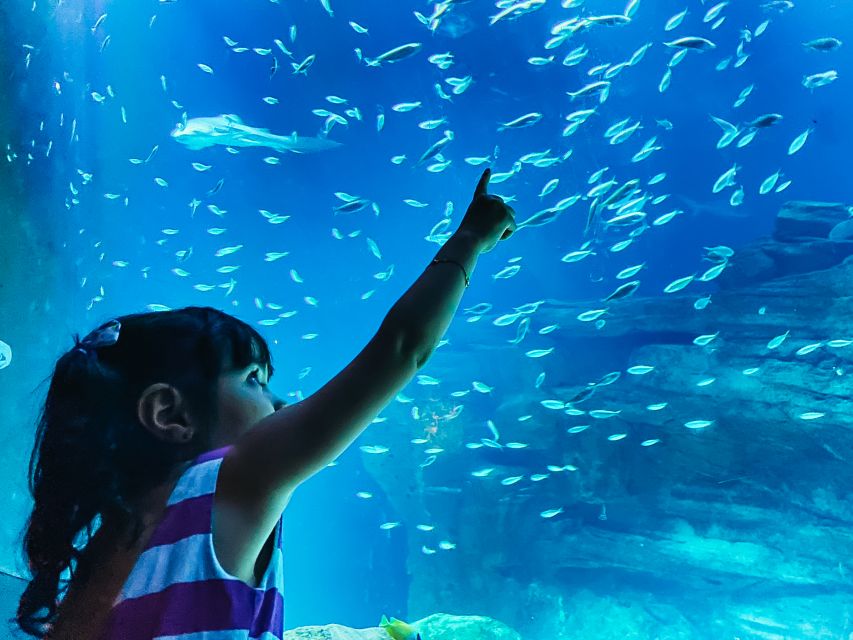Paris: Aquarium de Paris Entrance Ticket - The Jellyfish Rooms Deserve Extra Time