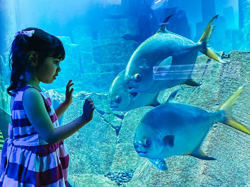 Paris: Aquarium de Paris Entrance Ticket - Is It Good for Adults and Older Children?