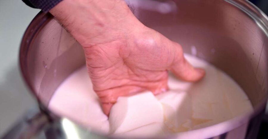 Paris: Butter and Cheesemaking Workshop - Making tomme fraiche, a cheese built for melting