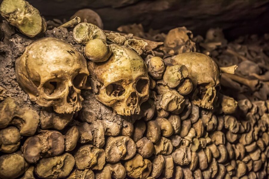 Paris: Catacombs Restricted Access Tour - Restricted rooms and special access