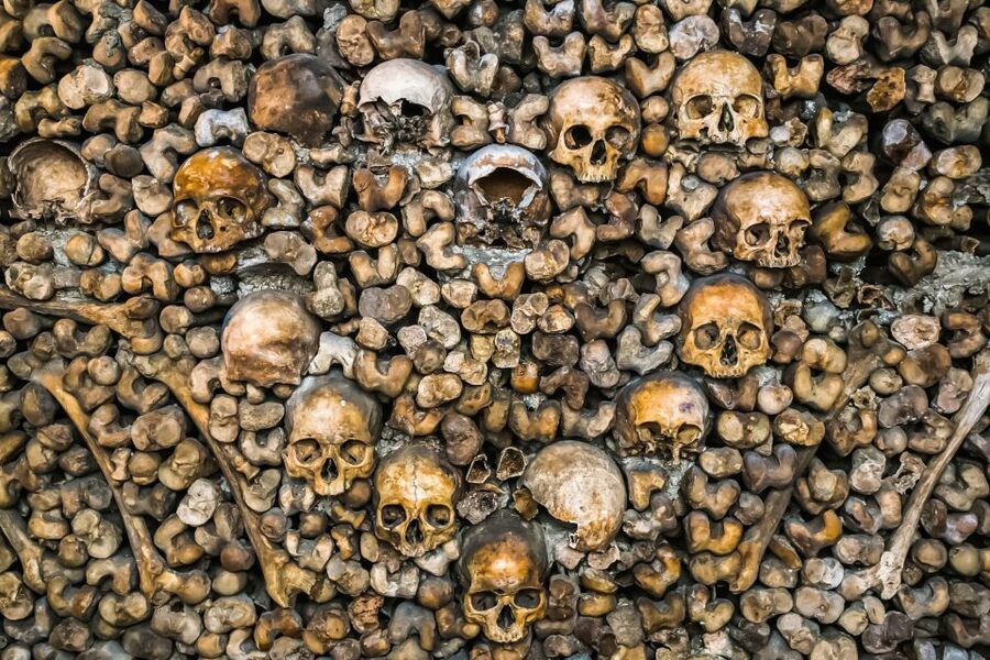 Paris: Catacombs Restricted Access Tour - Is $187 a fair price?