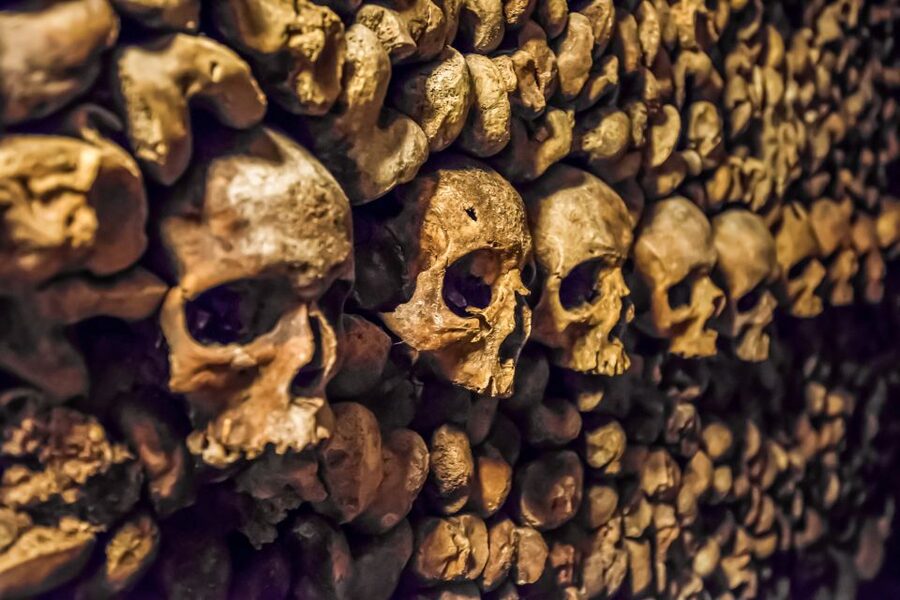 Paris: Catacombs Restricted Access Tour - Meeting your guide at Denfert-Rochereau