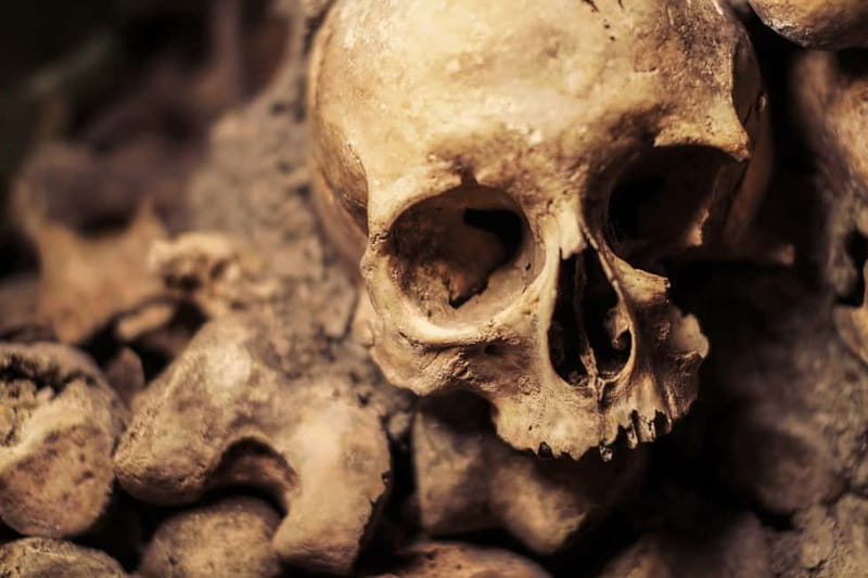 Paris: Catacombs Special Access Tour - Why Paris built a city of the dead