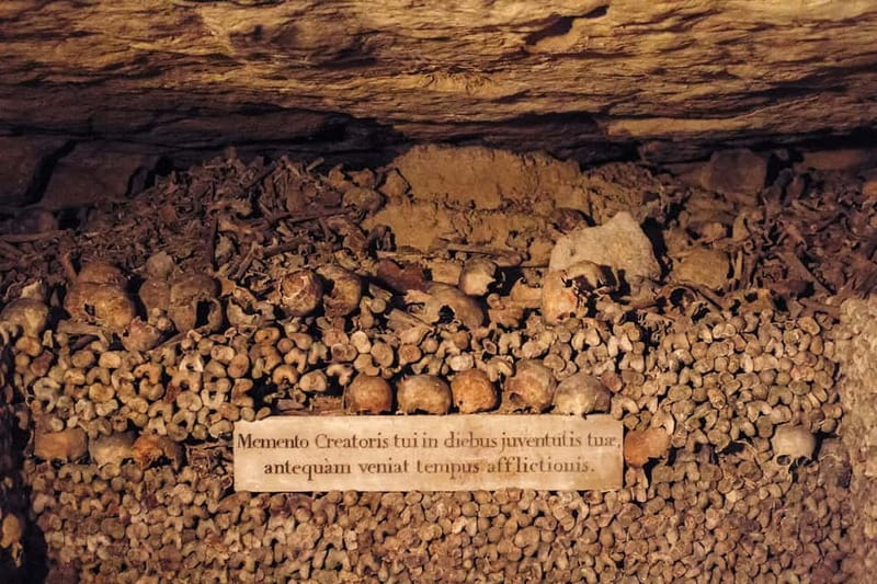Paris: Catacombs Special Access Tour - Who should book this tour