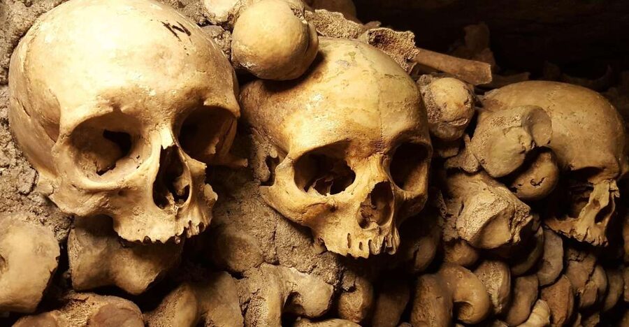 Paris: Catacombs Ticket and Seine River Cruise - Why the audio guide works, and where it falls short