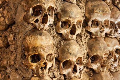 Catacombs Ticket and Seine River Cruise