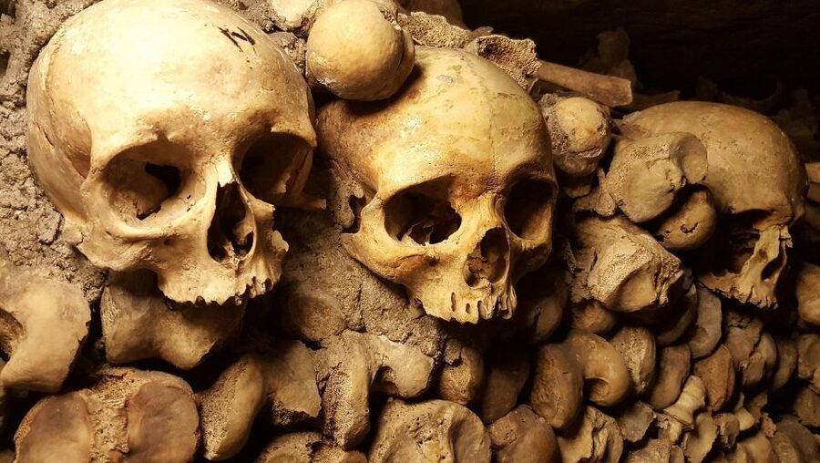 Paris: Catacombs Ticket and Seine River Cruise - Small details that make a big difference