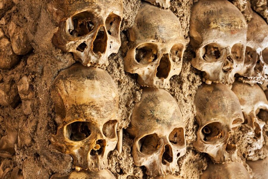 Paris: Catacombs Ticket and Seine River Cruise - The 131 steps down are part of the experience