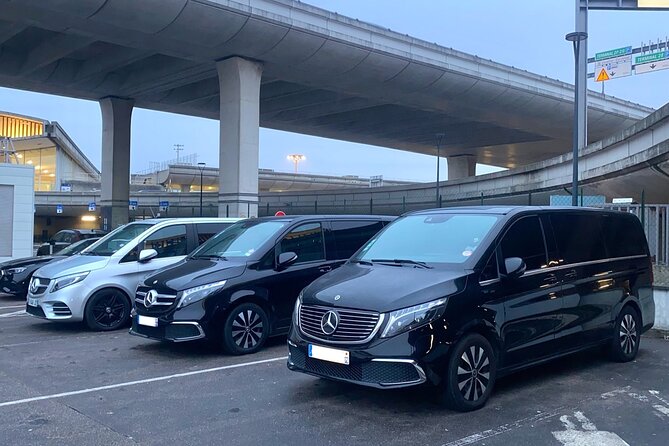 Paris Charles de Gaulle Airport Private Arrival Transfer - The meet and greet at arrivals