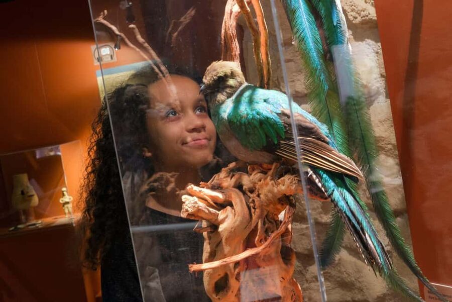 Paris: Entrance Ticket to the Chocolate Museum - Following cocoa into Europe and the modern era