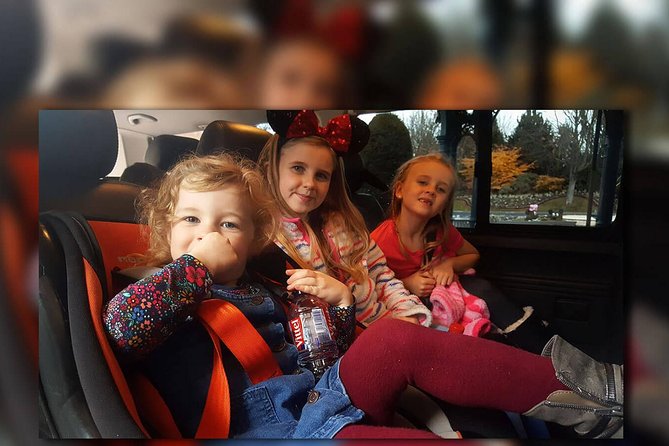 PARIS - Euro Disney (One Way) Private Shuttle Transfer - Meeting your driver in Paris