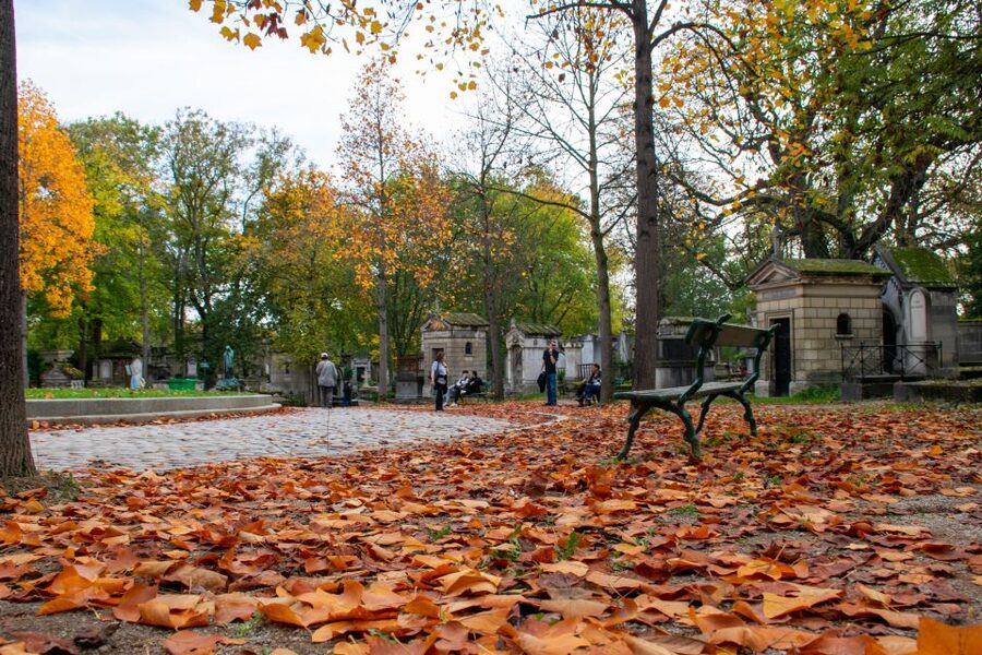 Paris: Full-Day Custom Tour with Local Guide - Concorde, the Tuileries, and two kinds of Paris
