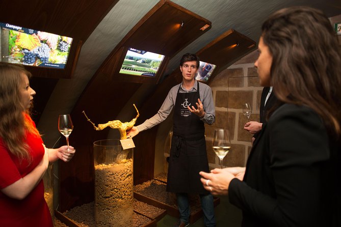 Paris - Guided Visit & Tasting in a Royal Wine Cellar - Who will enjoy this one-hour stop